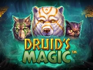 Druid’s Magic game icon